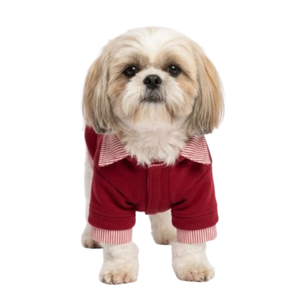 Pets Empire Red Sweatshirt Striped Collar & Cuffs