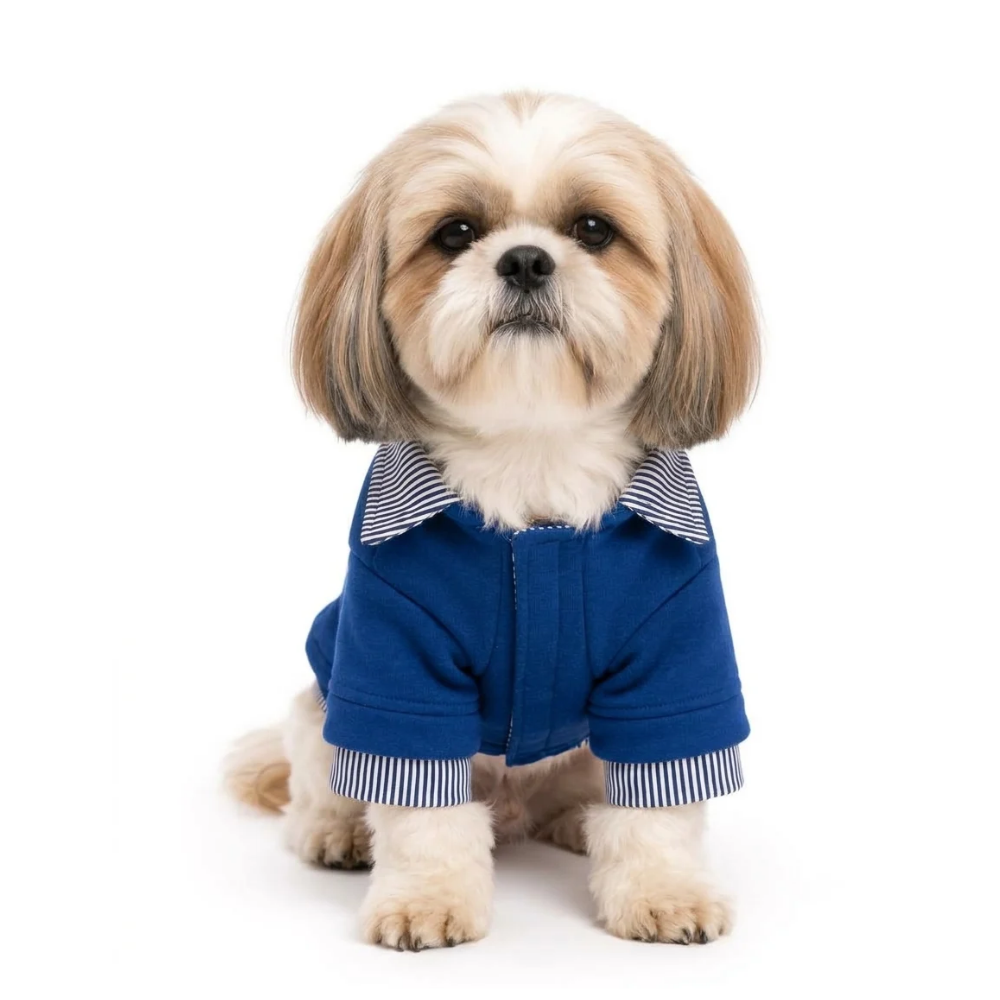 Pets Empire Blue Sweatshirt Striped Collar & Cuffs