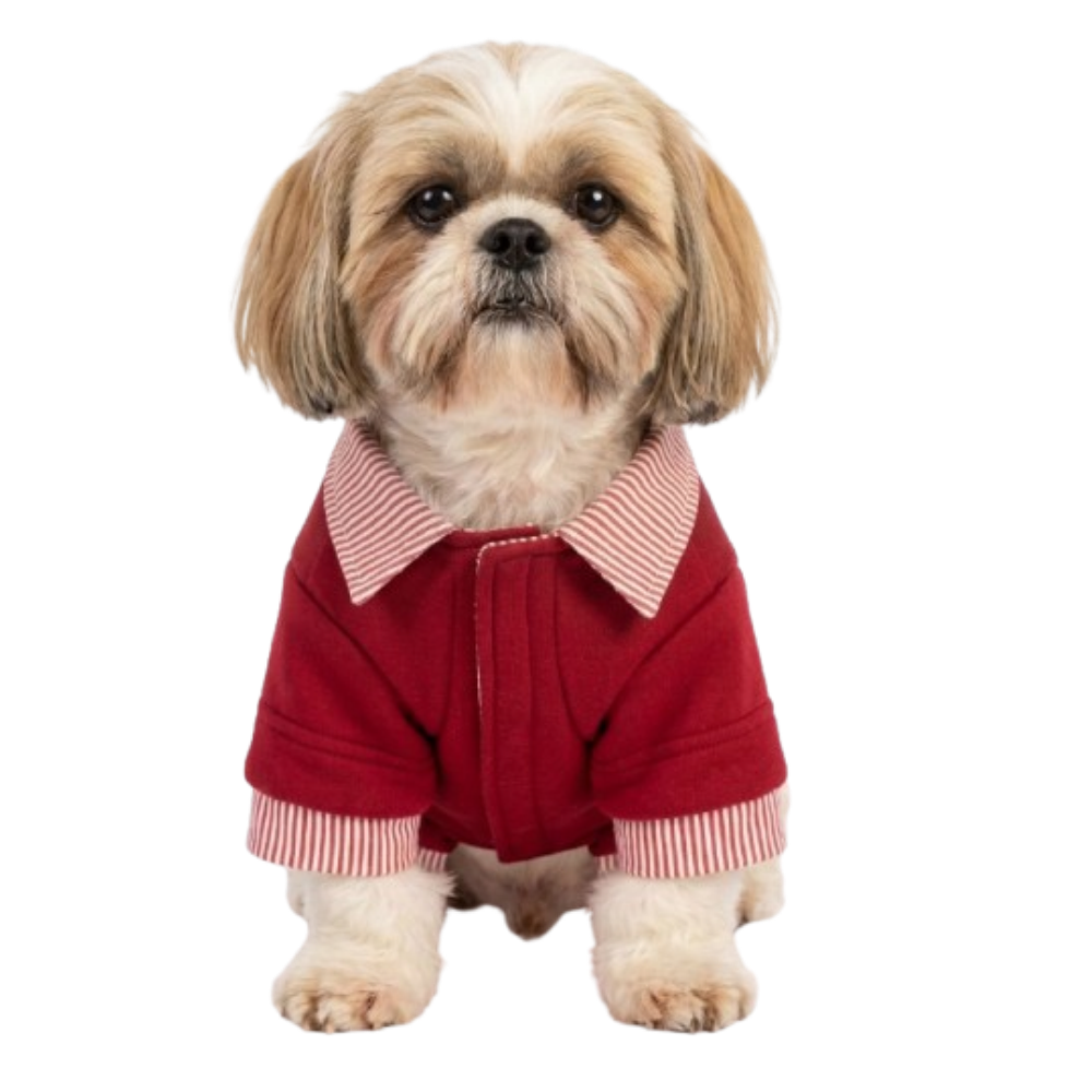 Pets Empire Red Sweatshirt Striped Collar & Cuffs