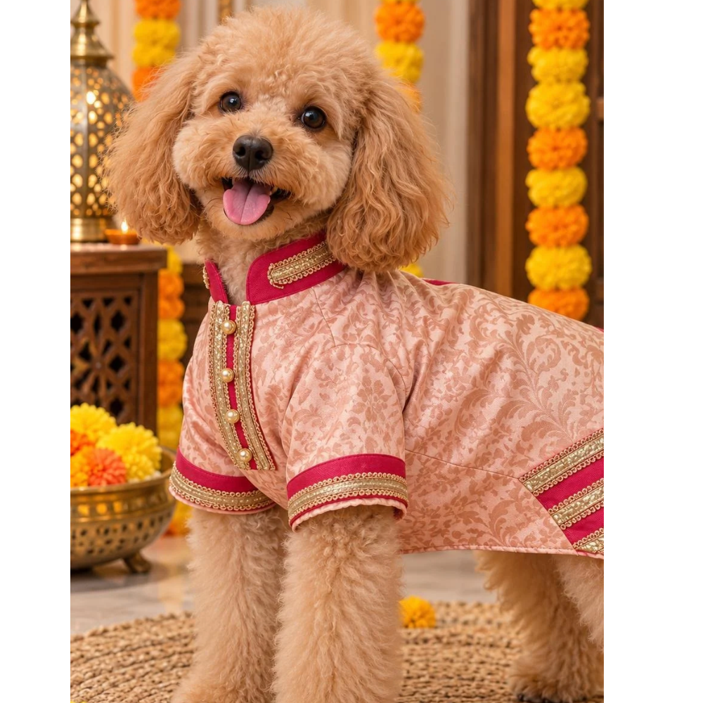 Pets Empire Peach and Red Festive Kurta For Small Dogs