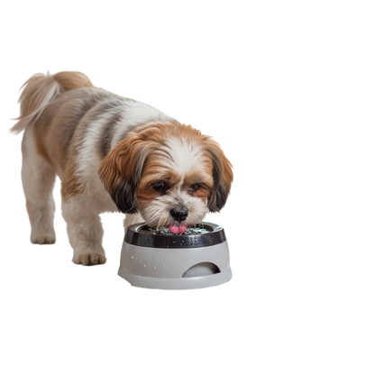 Pets Empire Anti-Spill Waterhole Small Animal Dog Bowl 1 Piece - Color May Vary