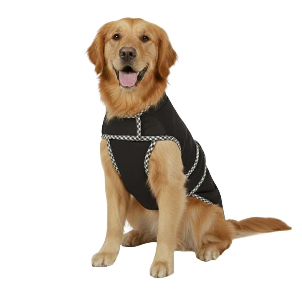 Pets Empire Classic Winter Coat For Dogs - Black