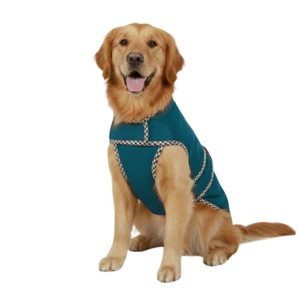 Pets Empire Classic Winter Coat For Dogs - Deep Blue