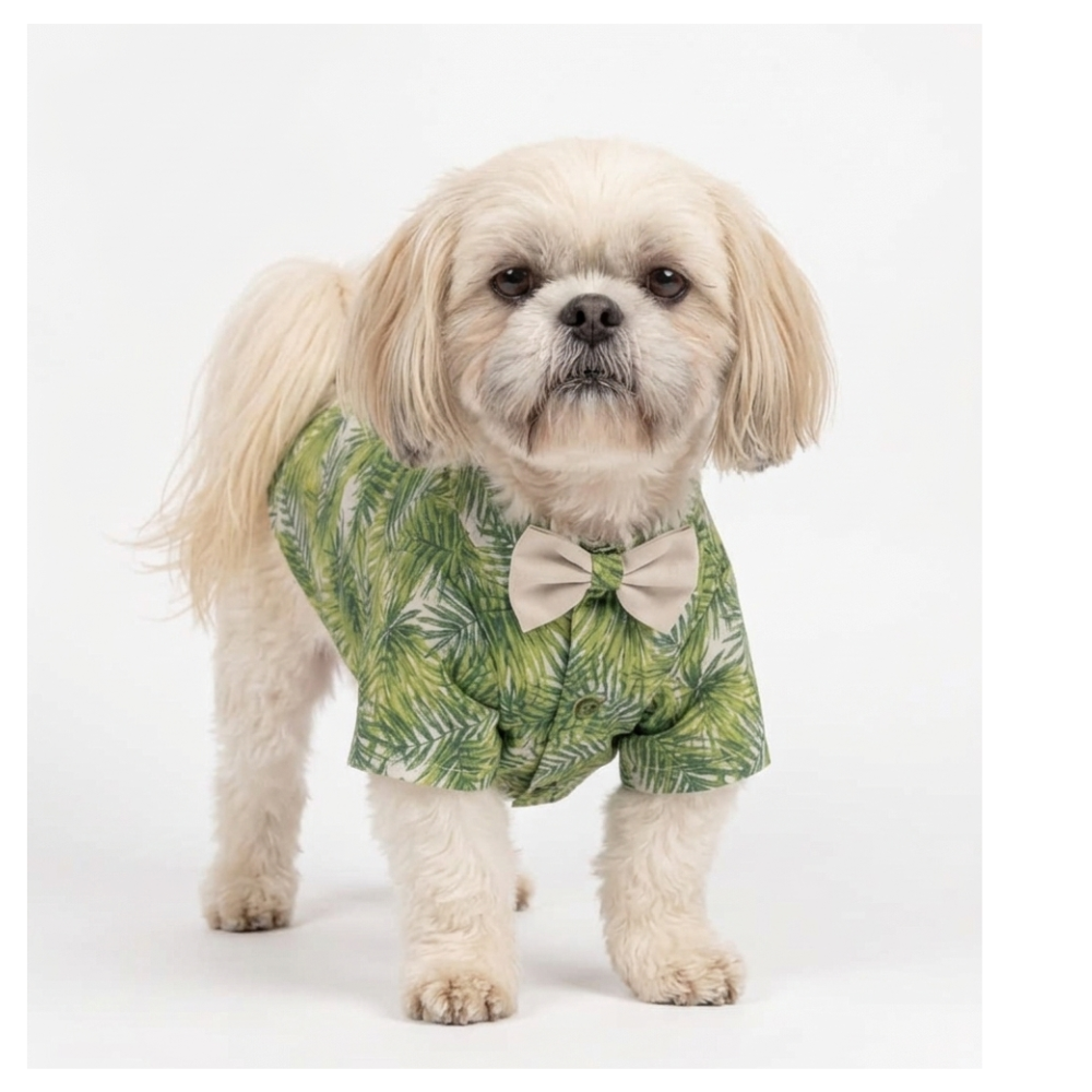 Pets Empire Printed Shirt for Dogs - Havana Palms