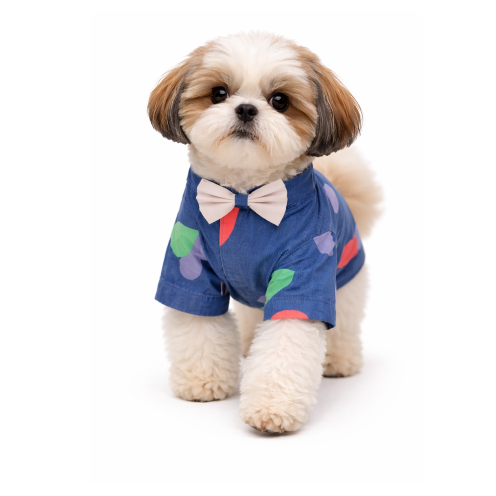Pets Empire Printed Shirt for Dogs - Little Hearts