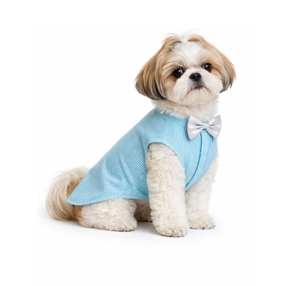 Pets Empire Printed Shirt for Dogs - Stripes & Hues