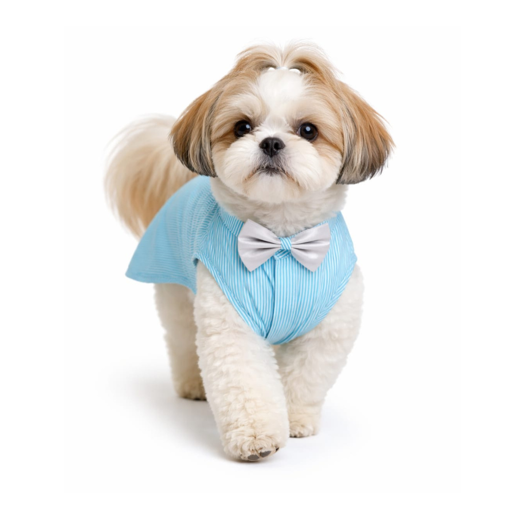 Pets Empire Printed Shirt for Dogs - Stripes & Hues