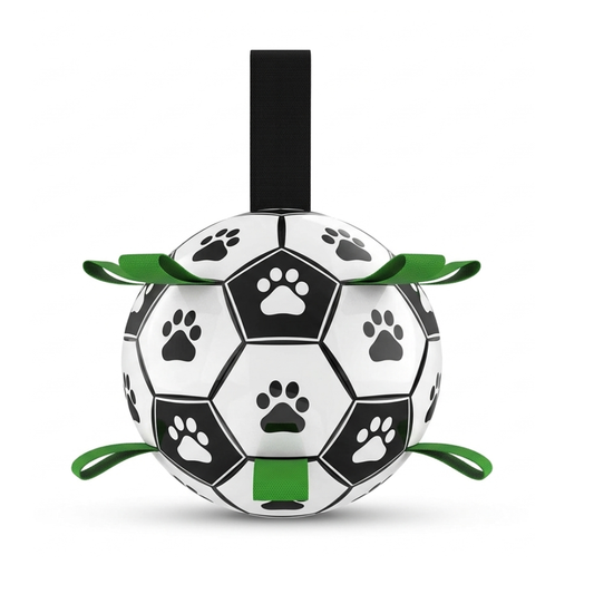 PETS EMPIRE Football Toy for Dogs