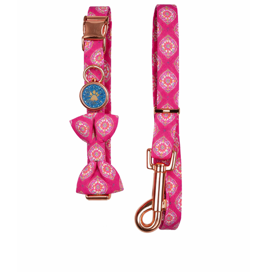 PETS EMPIRE Diamond Delight Dog Collar & Leash Set with Bow For Dogs