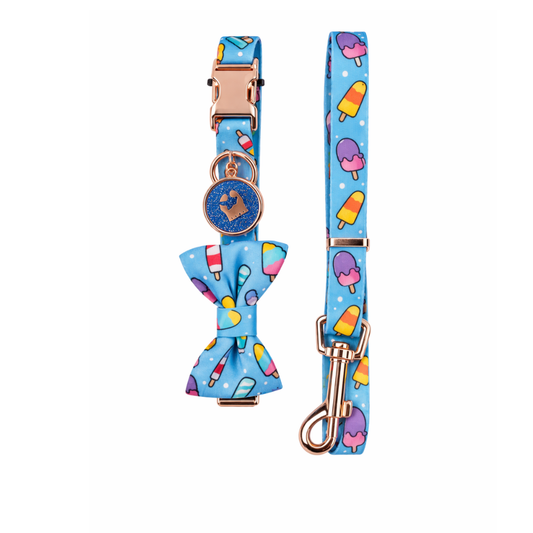 PETS EMPIRE SCOOPS OF JOY COLLAR & LEASH SET WITH BOW FOR DOGS