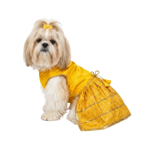 Pets Empire Designer Outfit For Female Dog (Yellow)