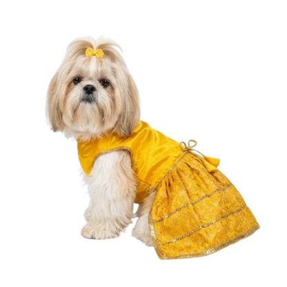 Pets Empire Designer Outfit For Female Dog (Yellow)