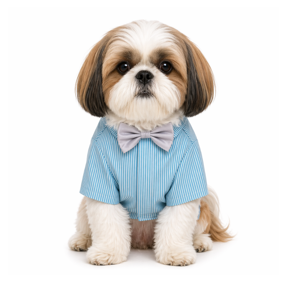 Pets Empire Printed Shirt for Dogs - Stripes & Hues