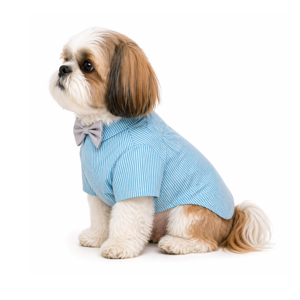 Pets Empire Printed Shirt for Dogs - Stripes & Hues