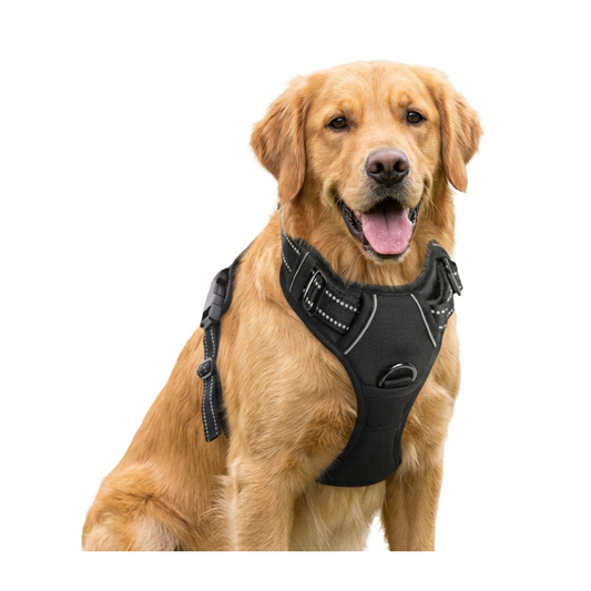 Pets Empire Classic Mesh Padded Dog Harness - Black