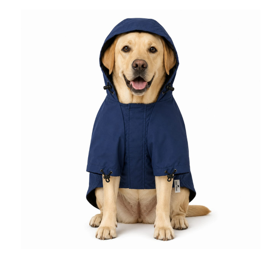 Pets Empire Monsoon Essential Raincoats (Blue)
