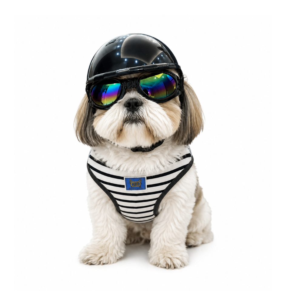 Pets Empire Dog Riding Helmet