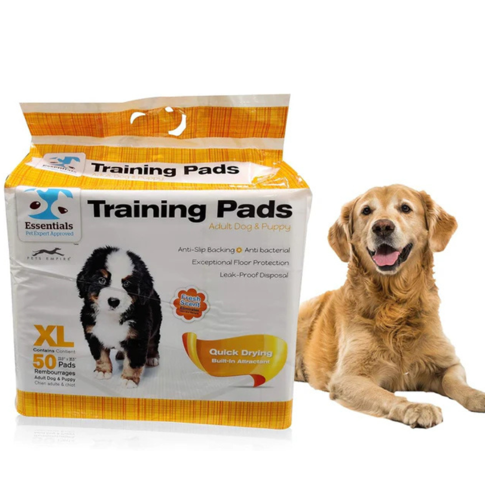 Pets Empire , Super Absorbent & Leak-Proof Pee Pad