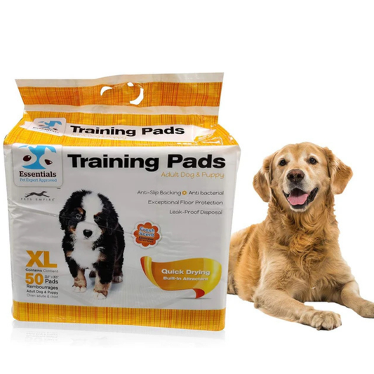 Pets Empire , Super Absorbent & Leak-Proof Pee Pad