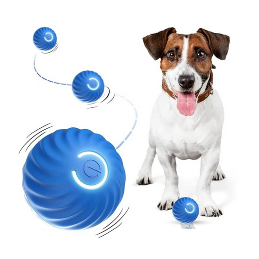 Pets Empire Automatic electric intelligent dog cat jumping ball