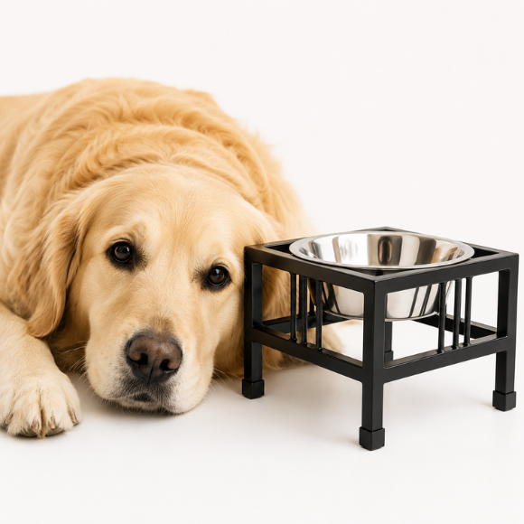 Bowls & Feeders