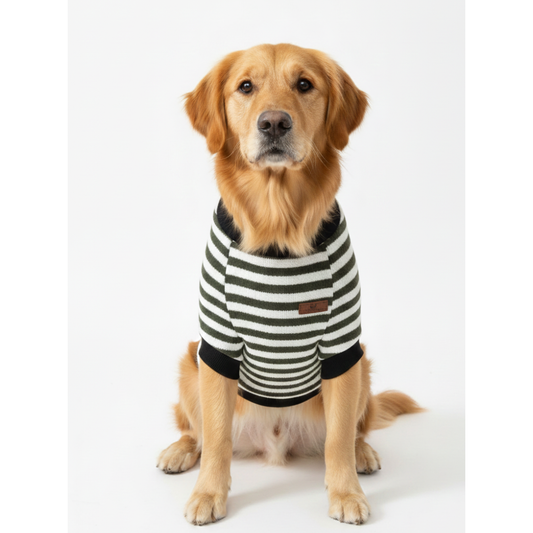 Pets Empire Warm  Winter Sweater for Dogs Olive Green