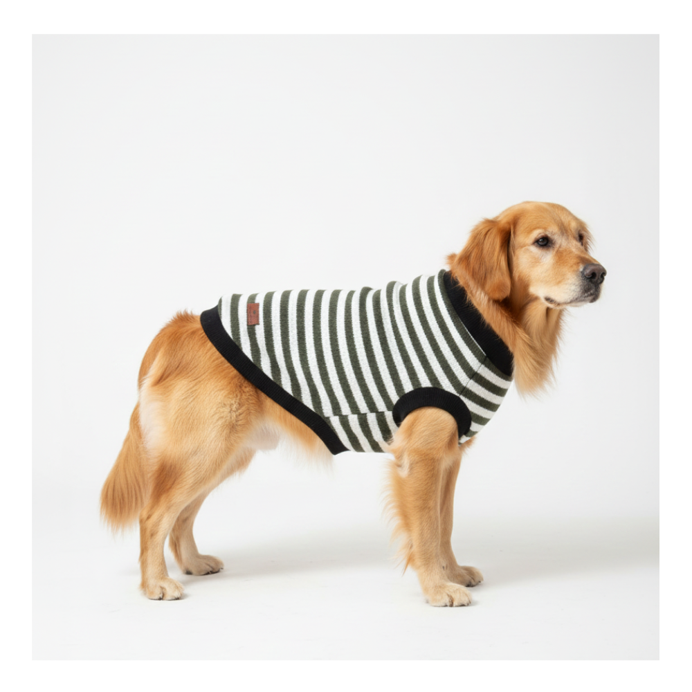 Pets Empire Warm  Winter Sweater for Dogs Olive Green