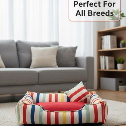 Pets Empire Rainbow Retreat Bed for Dogs