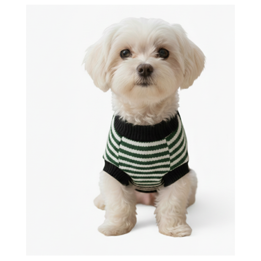 Pets Empire Warm Winter Sweater for All Breeds Dogs-  Green