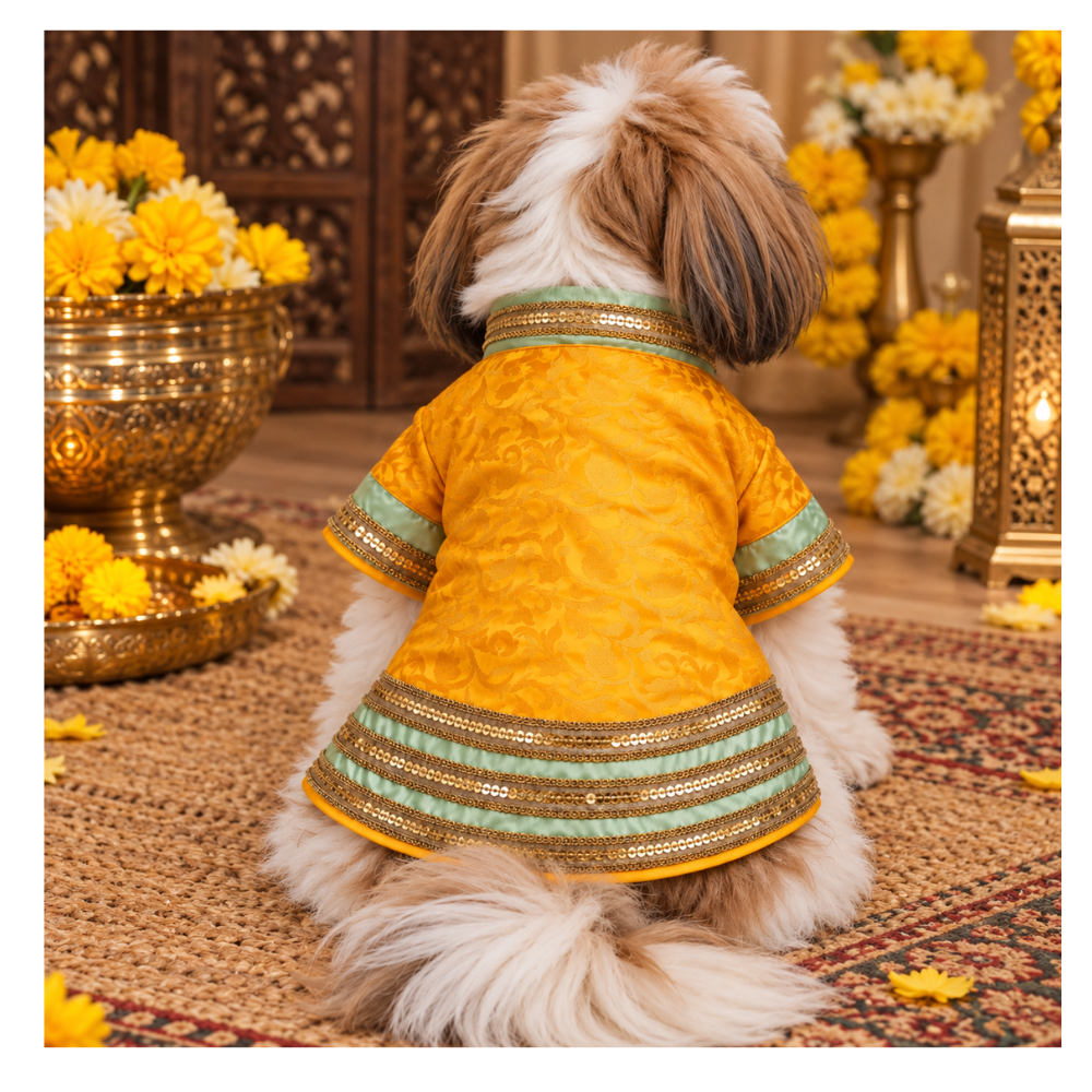 Pets Empire Yellow Brocade Festive Kurta For Small Breeds Dog