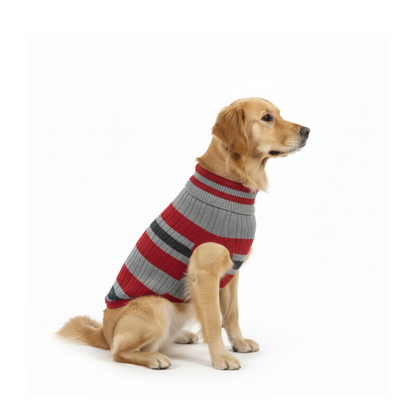 Pets Empire Premium Winter Sweater for Dogs- Red