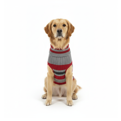Pets Empire Premium Winter Sweater for Dogs- Red
