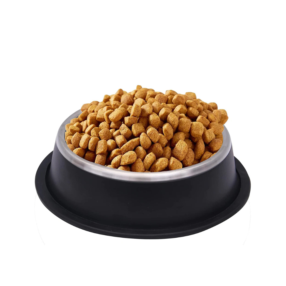 Pets Empire Stainless Steel Bowls for Dogs & Cats- Black