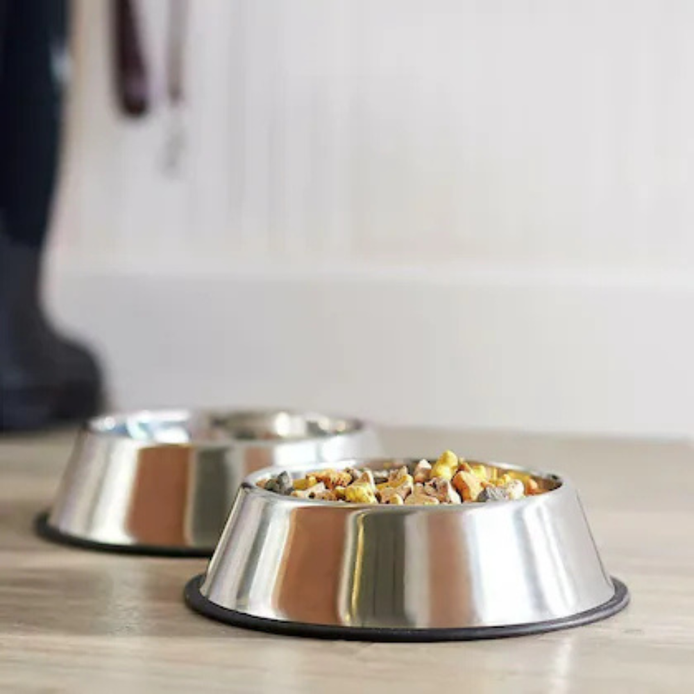 Pets Empire Mealtime Bowl (Pack of 2)