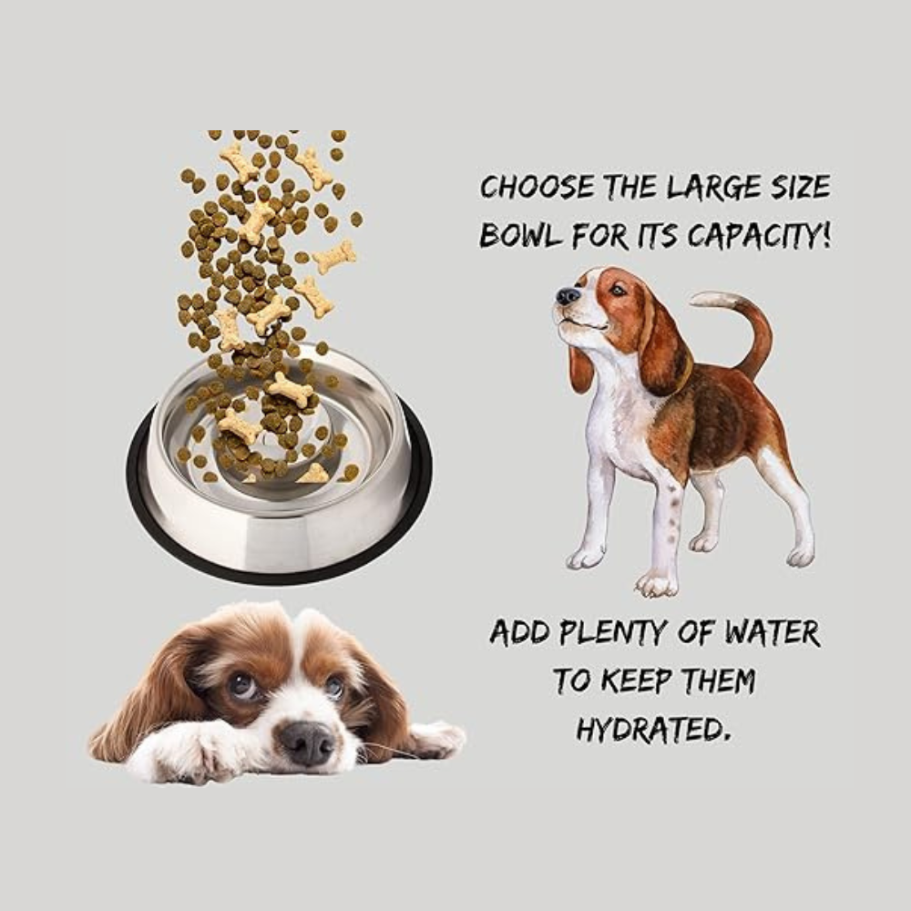 PETS EMPIRE Slow Feeder Dog Bowl