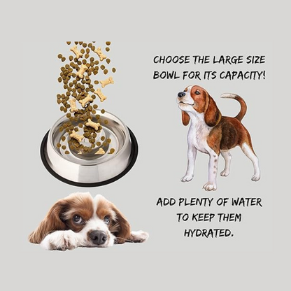 PETS EMPIRE Slow Feeder Dog Bowl