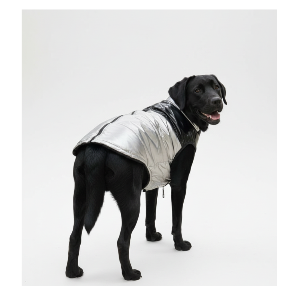 Pets Empire  Silver  Puffer Zip Jacket For Dogs