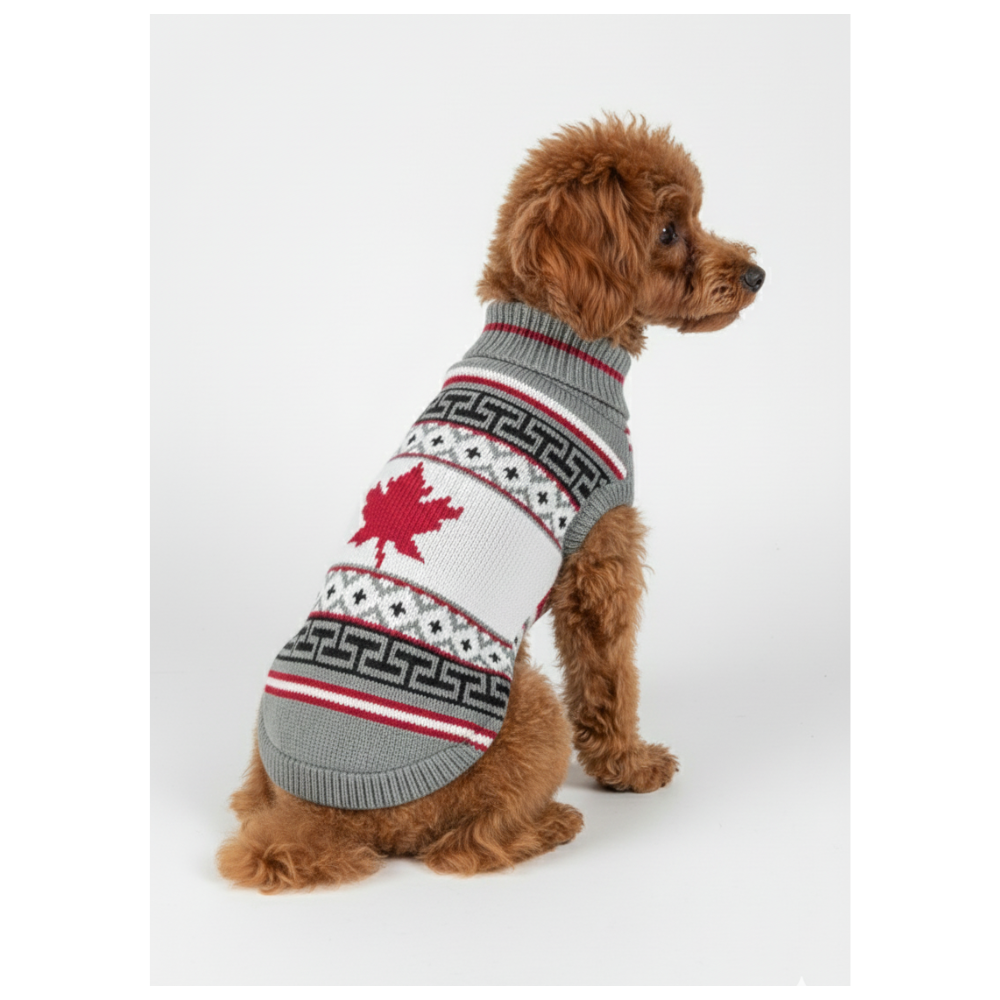 Pets Empire  Imported Sweater For Small Breed Dogs- White