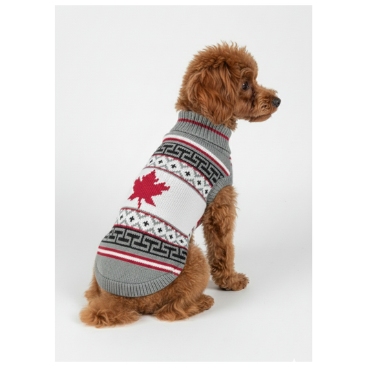 Pets Empire  Imported Sweater For Small Breed Dogs- White