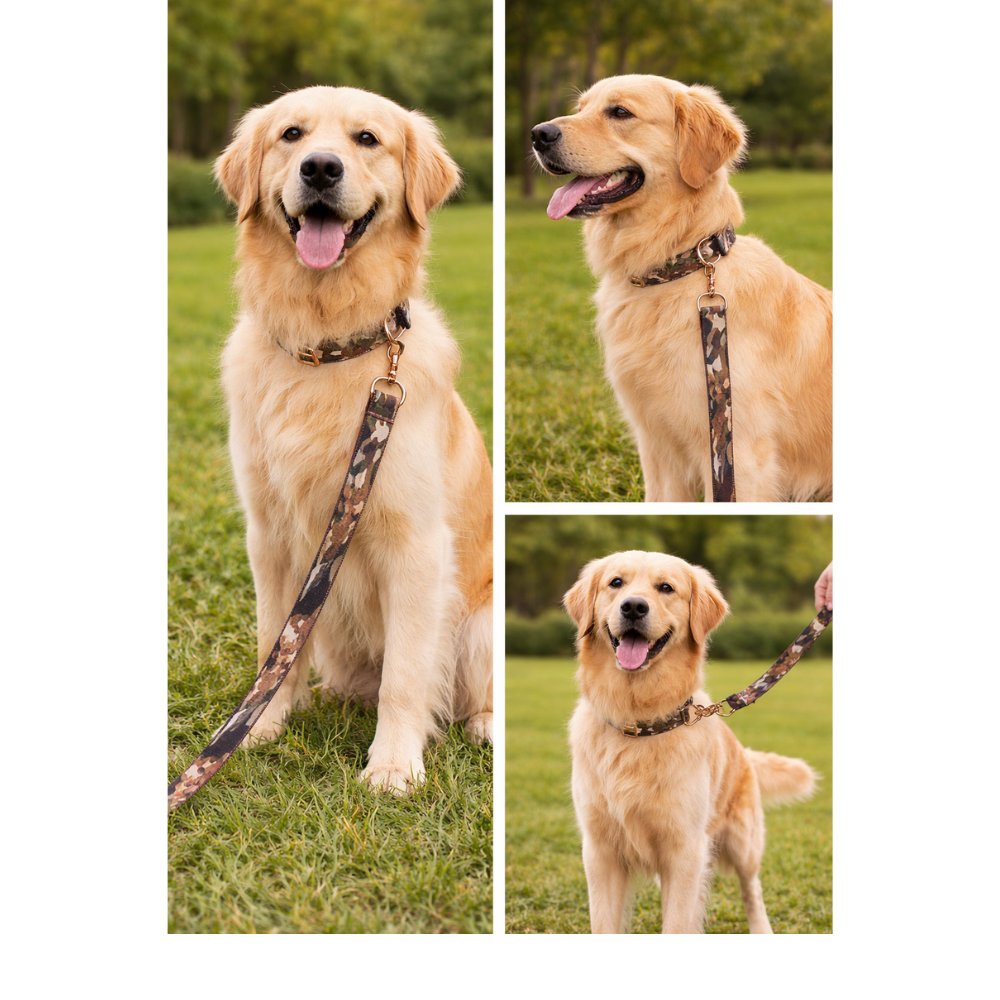 PETS EMPIRE Woodland Tails Dog Collar & Leash Set with Bow (X-LARGE)