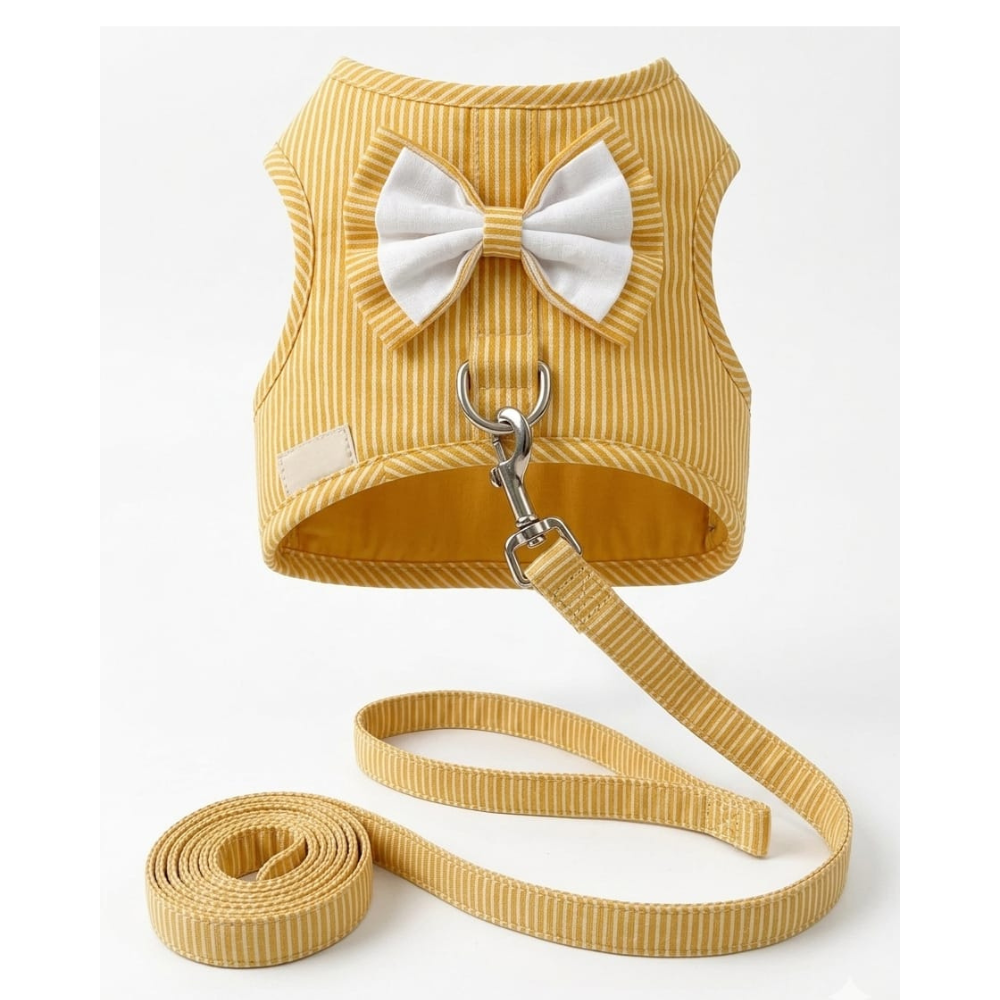 Pets Empire Striped Vest Harness & Leash Set for Small Dogs & Cats