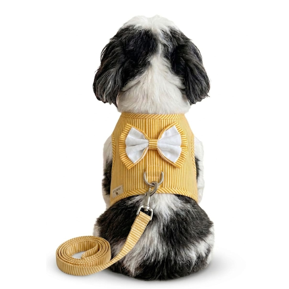 Pets Empire Striped Vest Harness & Leash Set for Small Dogs & Cats