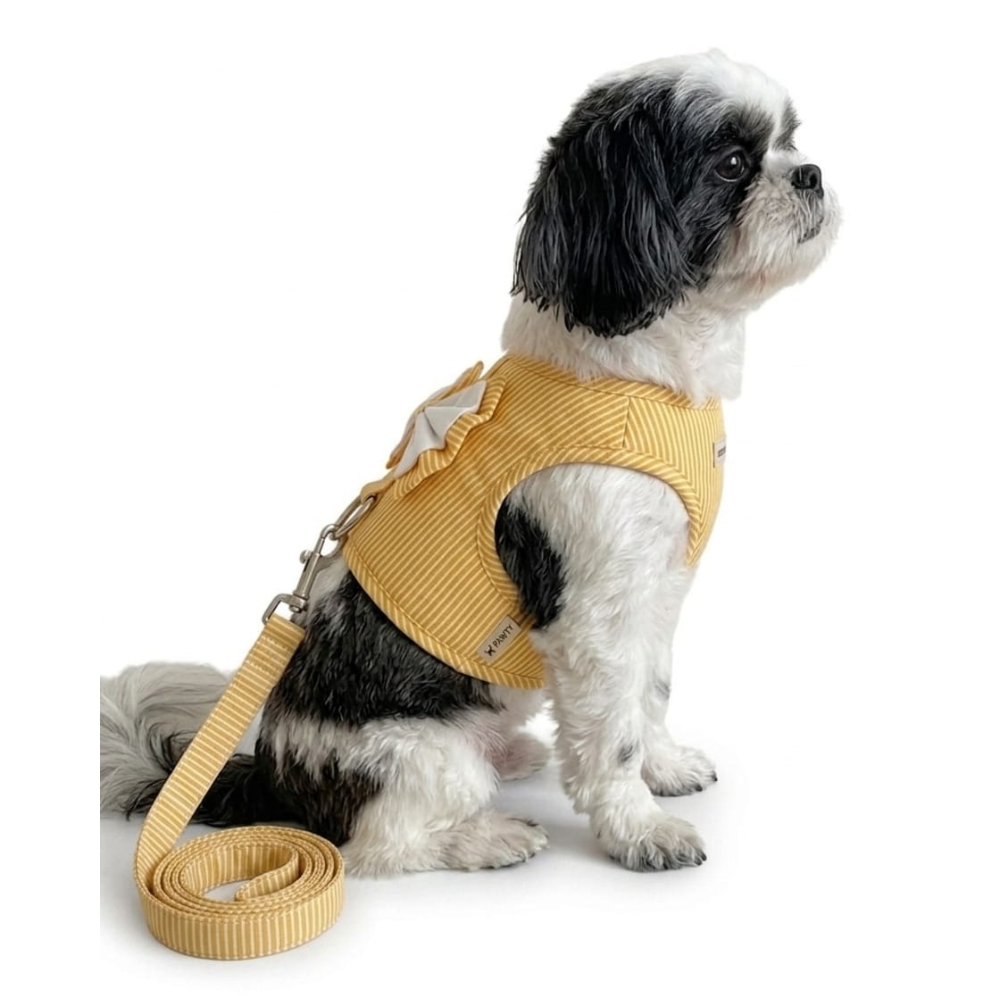 Pets Empire Striped Vest Harness & Leash Set for Small Dogs & Cats