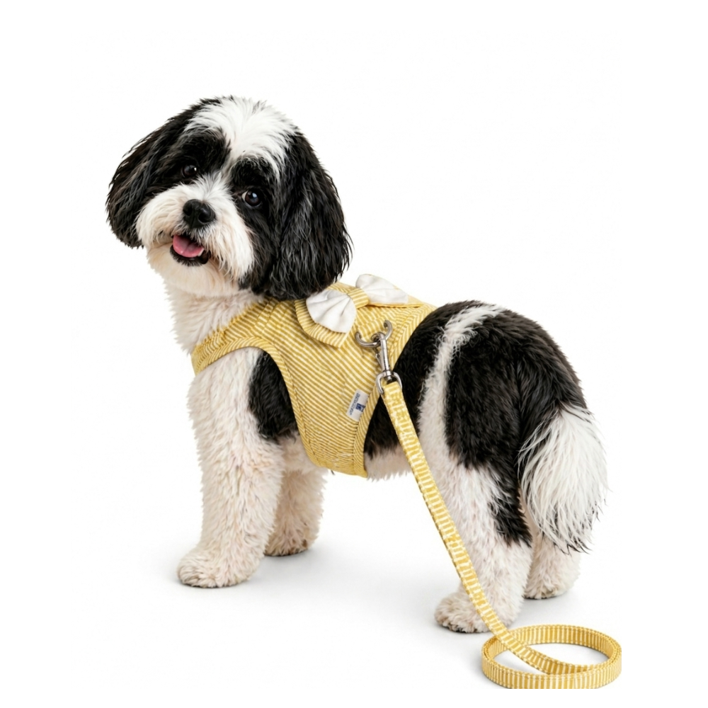 Pets Empire Striped Vest Harness & Leash Set for Small Dogs & Cats