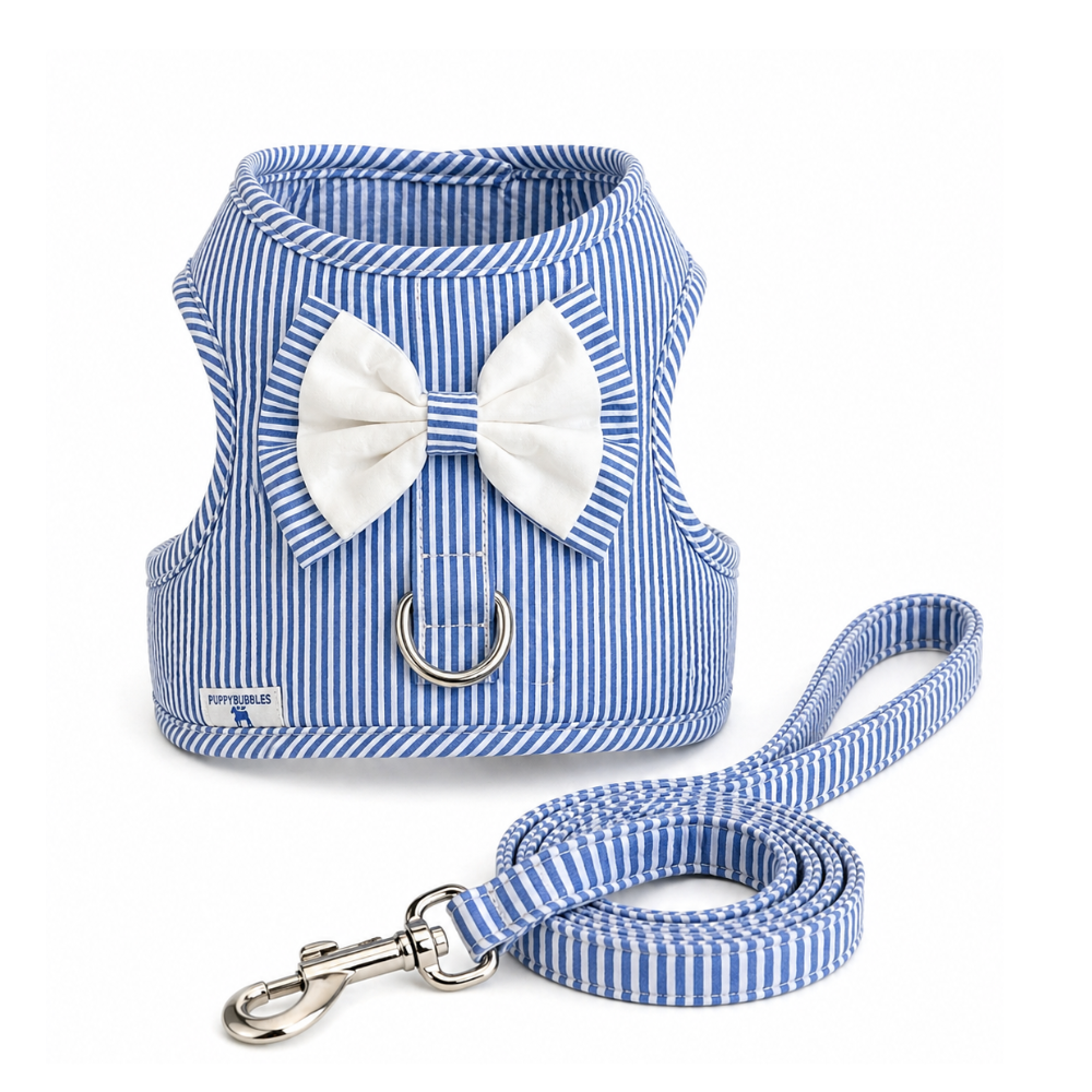 Pets Empire Striped Vest Harness & Leash Set for Small Dogs & Cats