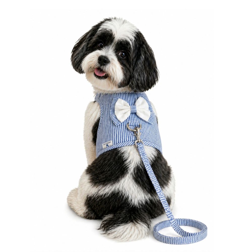 Pets Empire Striped Vest Harness & Leash Set for Small Dogs & Cats