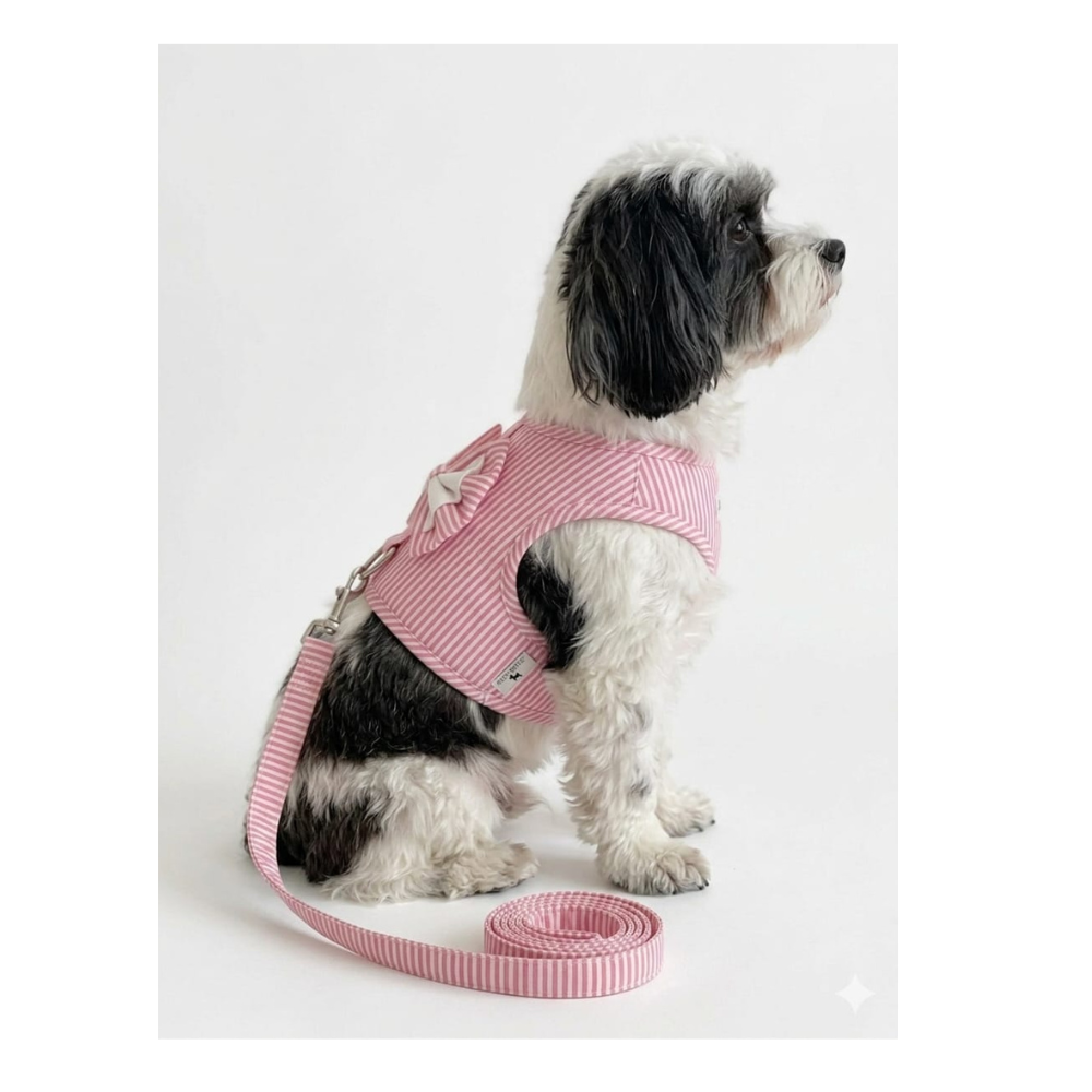 Pets Empire Striped Vest Harness & Leash Set for Small Dogs & Cats