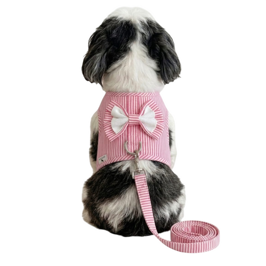 Pets Empire  Vest  Striped Harness & Leash Set For Small Dogs & Cats