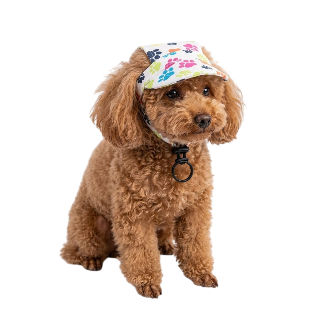 Pets Empire Adjustable Sporty Paw Print Cap For Dogs - Sun Protection & Style