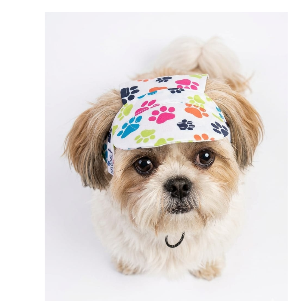 Pets Empire Adjustable Sporty Paw Print Cap For Dogs - Sun Protection & Style